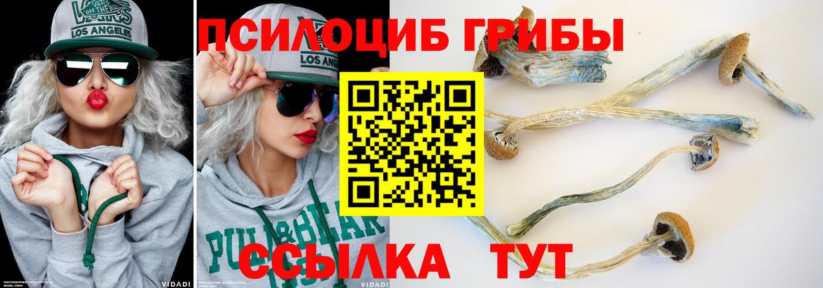 Псилоцибиновые грибы Psilocybe  Галлюциногенные грибы GOLDEN TEACHER  Вход с VPN  Усть-Джегута 